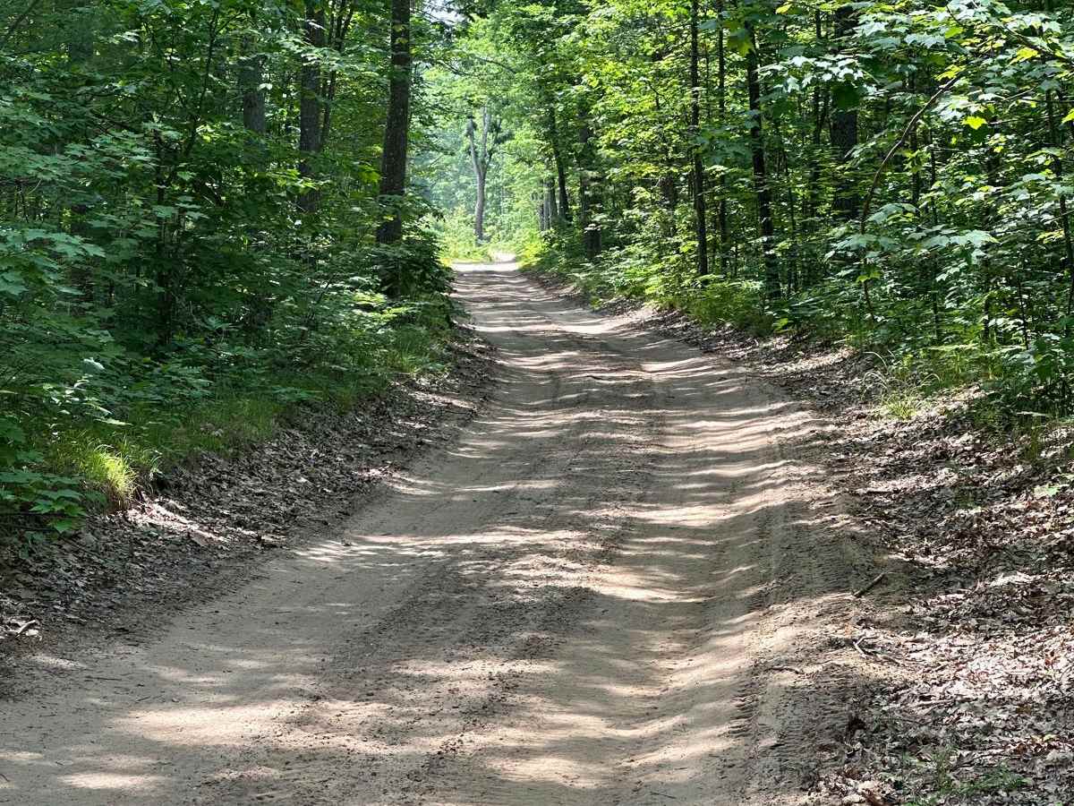 Rogers Road - Trail 58421 photo 6