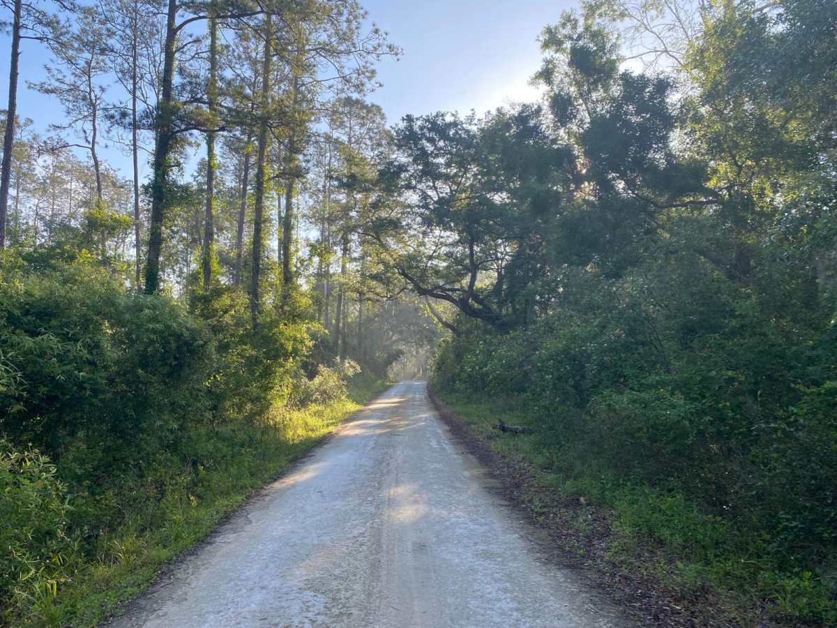 McKinney Sink Road photo 3