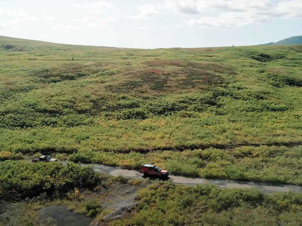 Denali Border photo 5