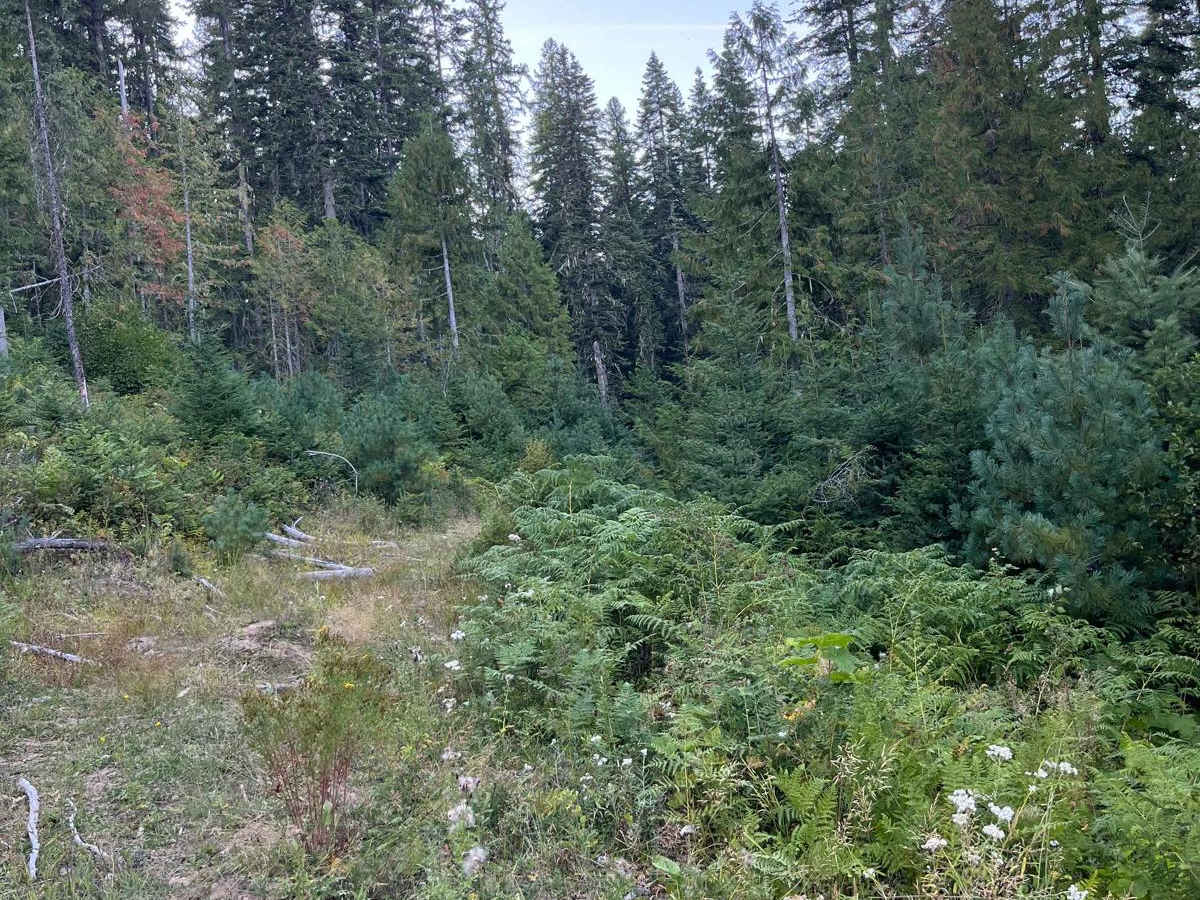 Moose Creek Spur photo 2