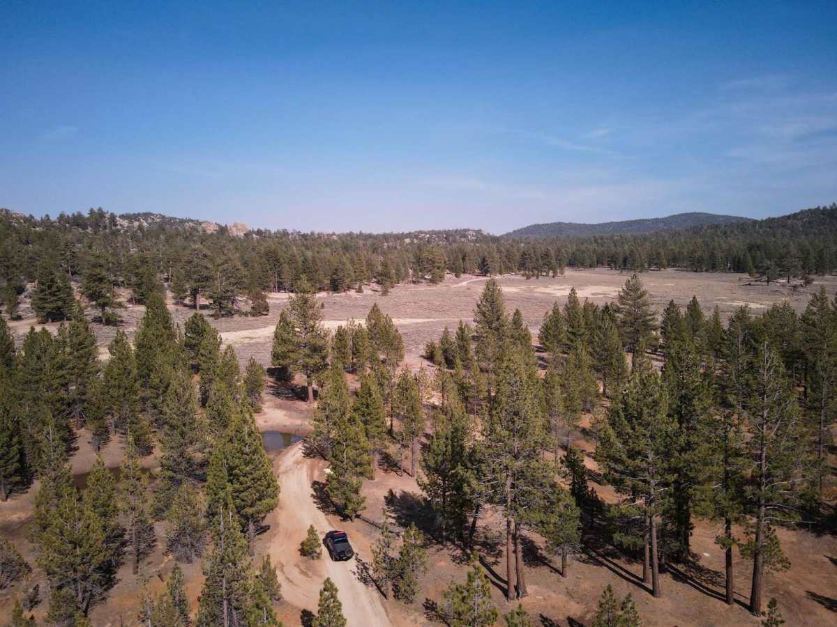 Gold Fever - 3N05 trail photo