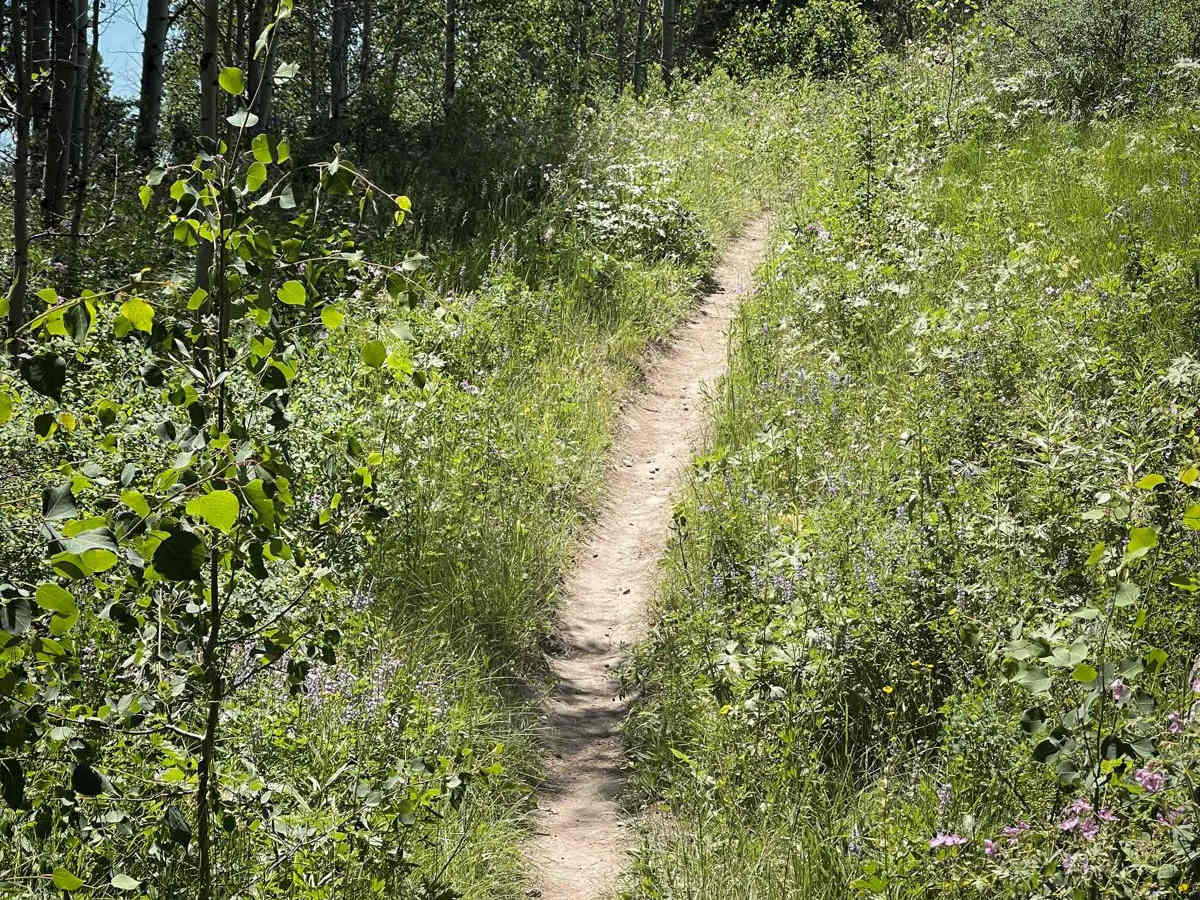 Squaw Creek photo 3
