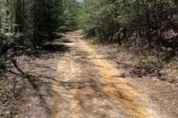 Bumpus Cove Trail - FS 190