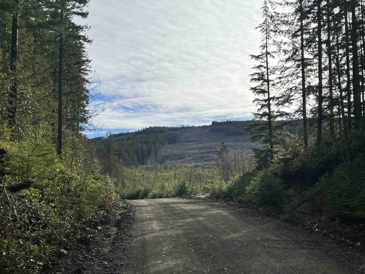 BlackJack Ridge Lookout photo 3