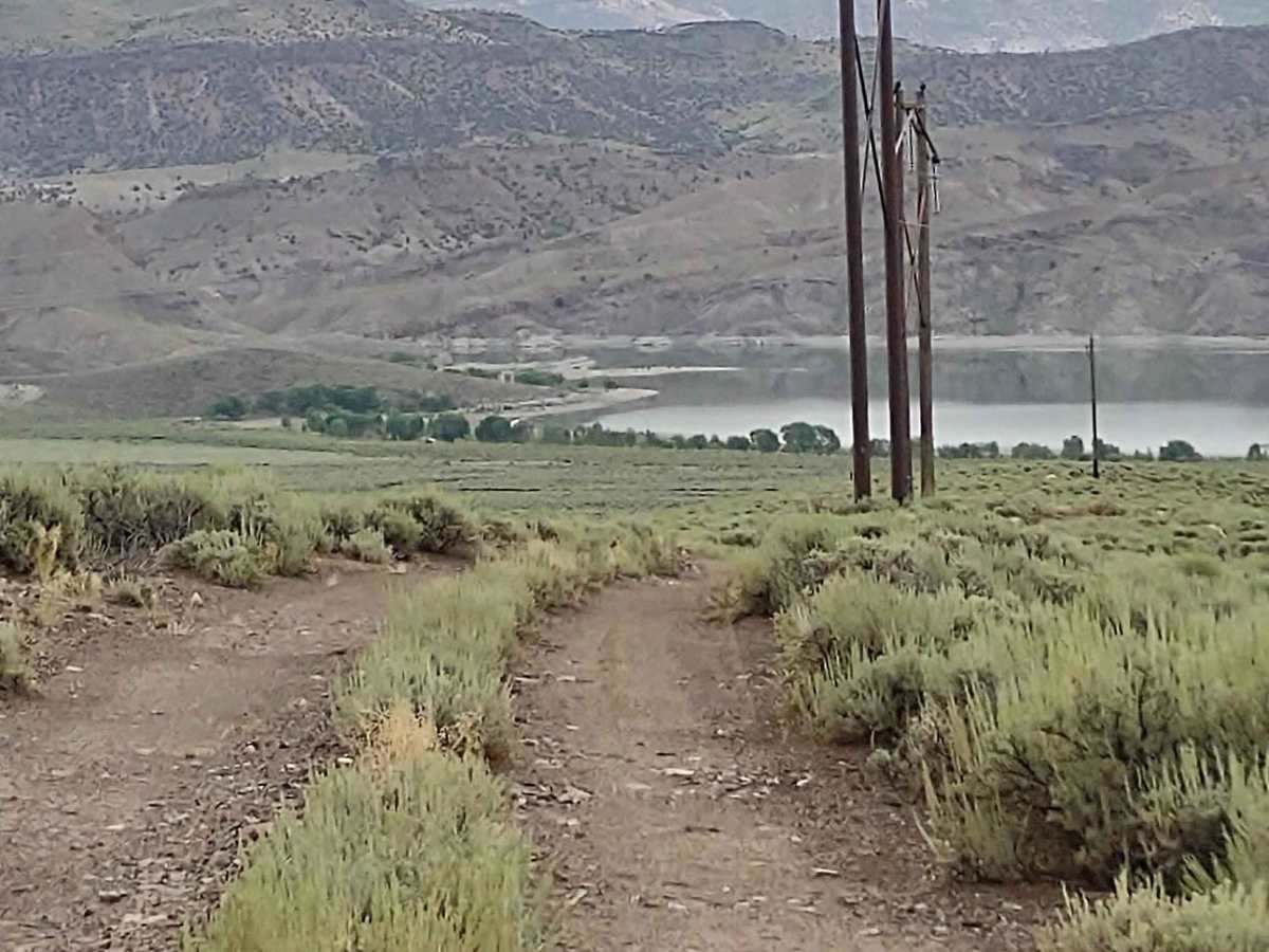 Powerline "Plus" photo 6