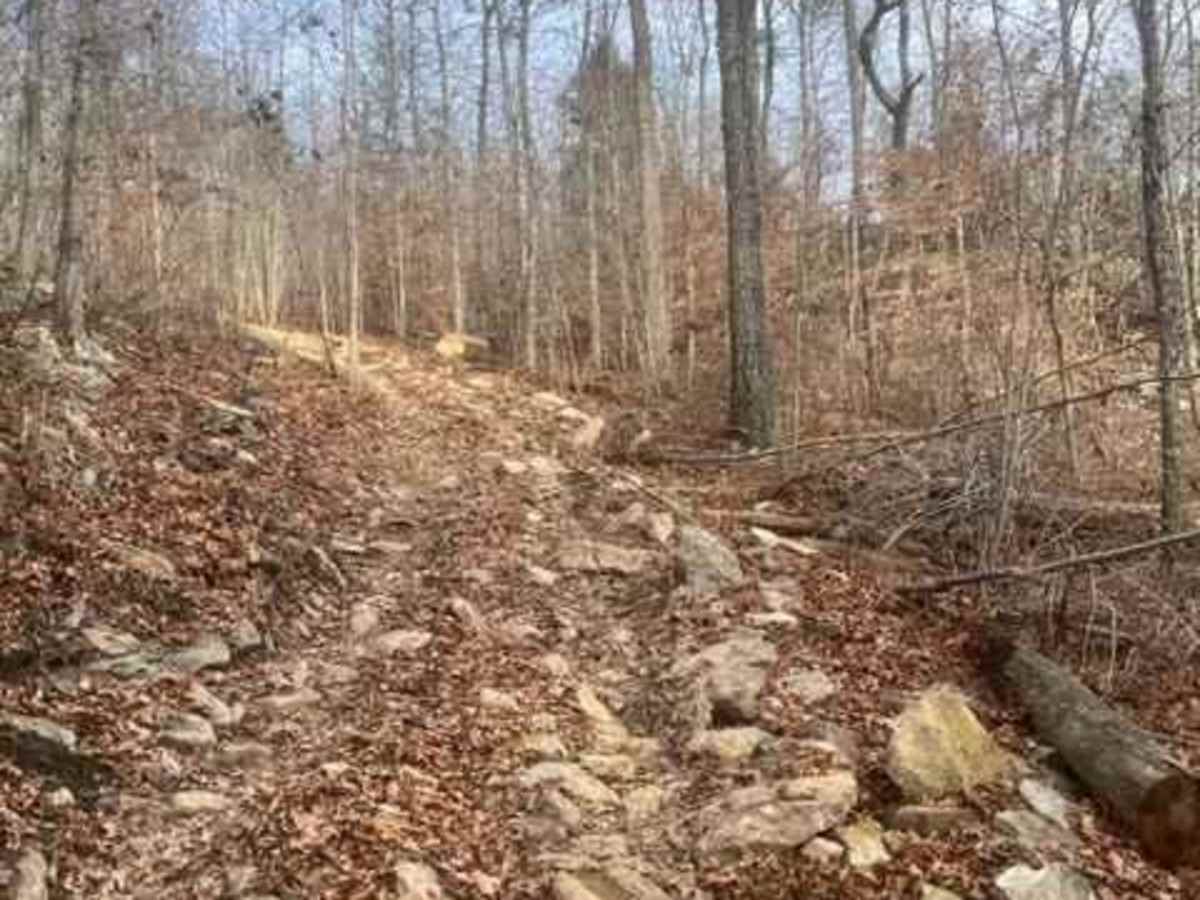 Coalmont OHV Trail 17 Blue photo 2