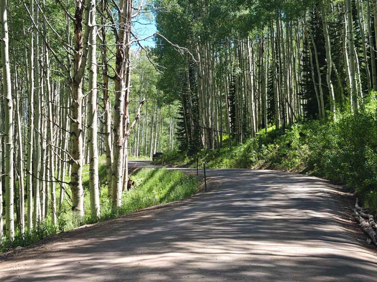 Kebler Pass photo 5