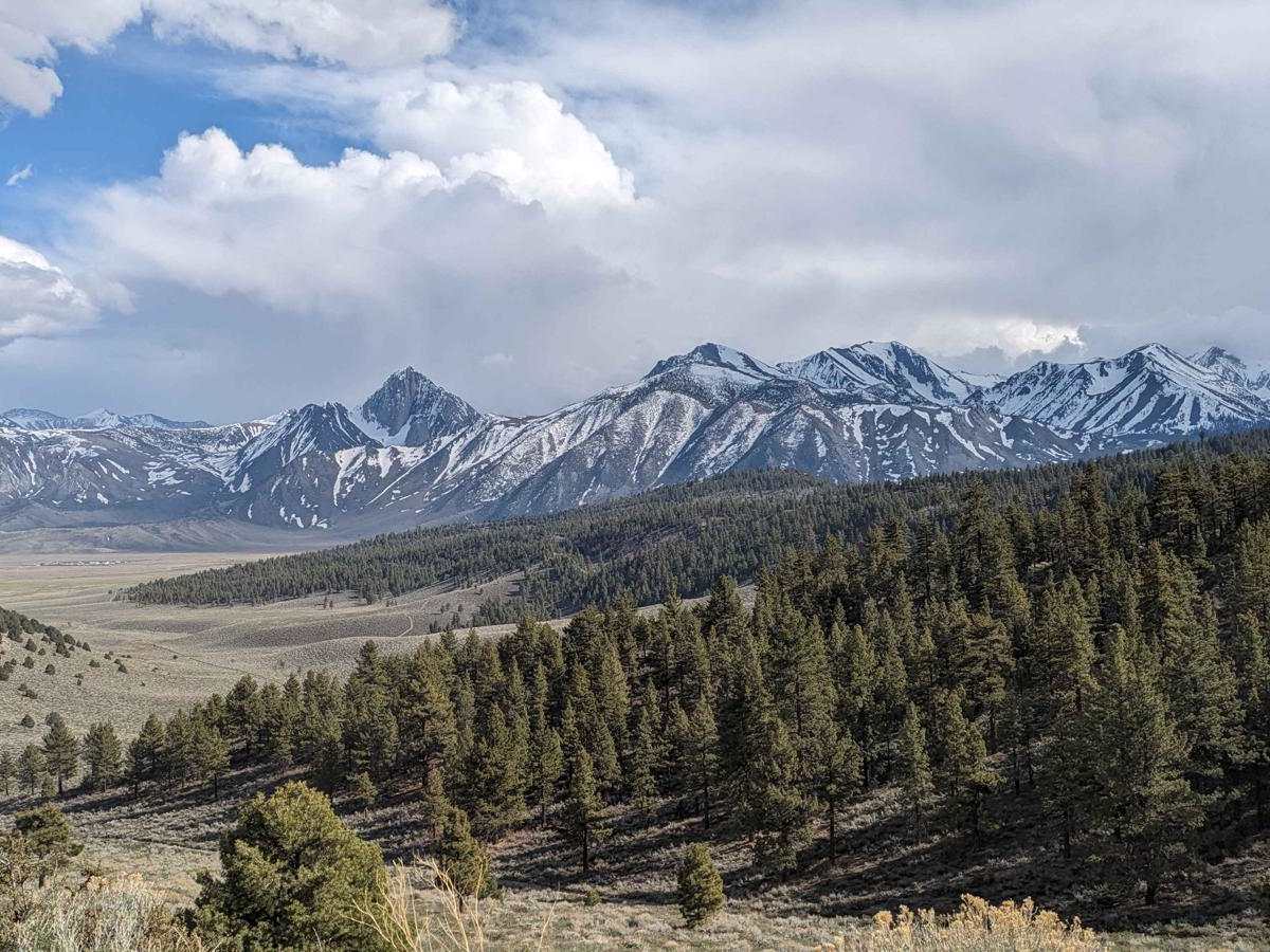 Antelope Springs Road West trail photo
