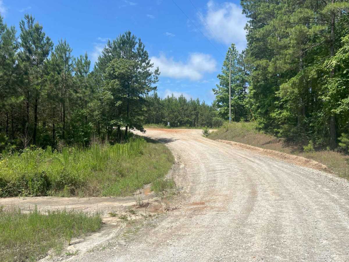 Pike Road photo 3