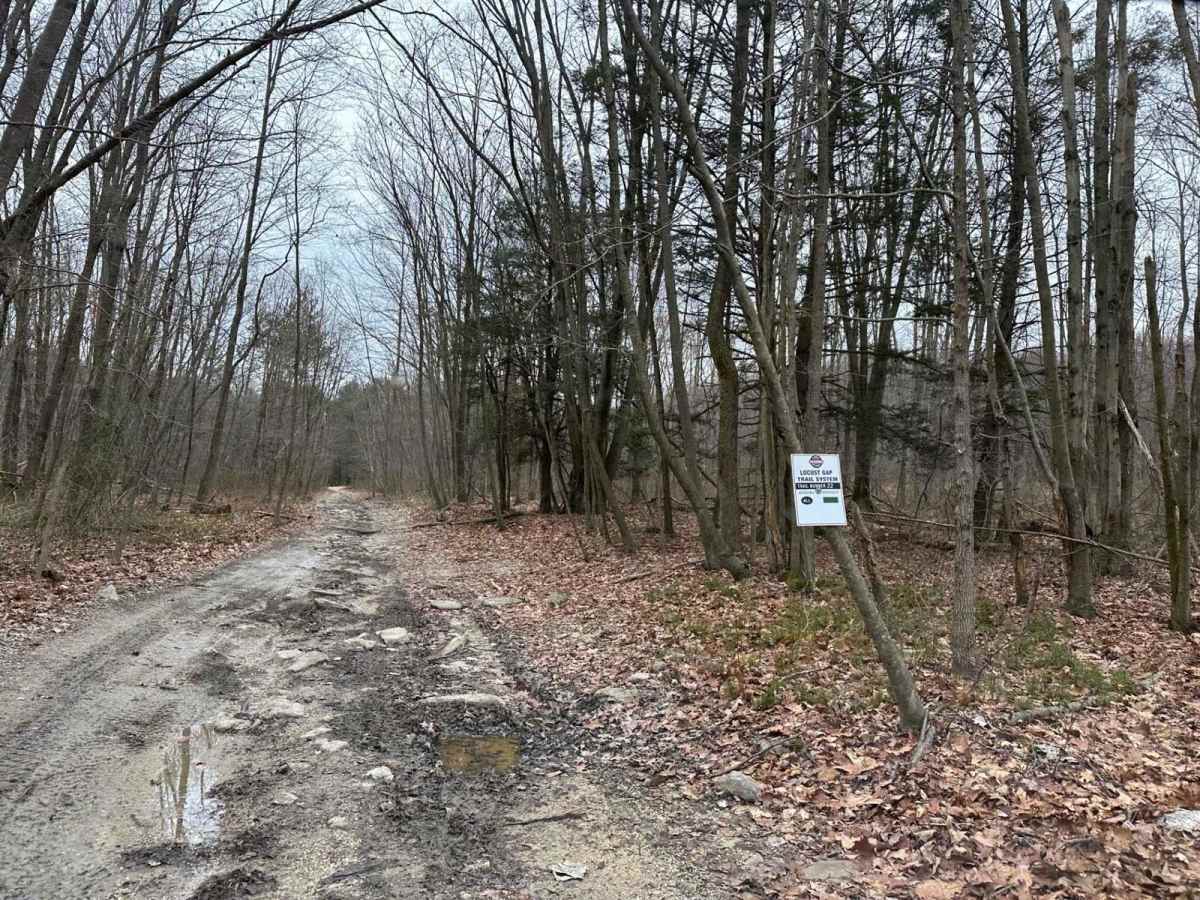 Locust Gap 22 photo 5