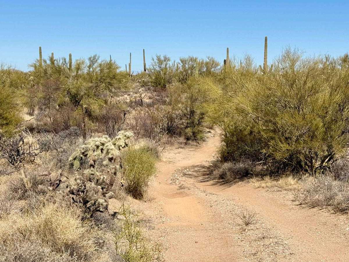 Quail Run photo 3