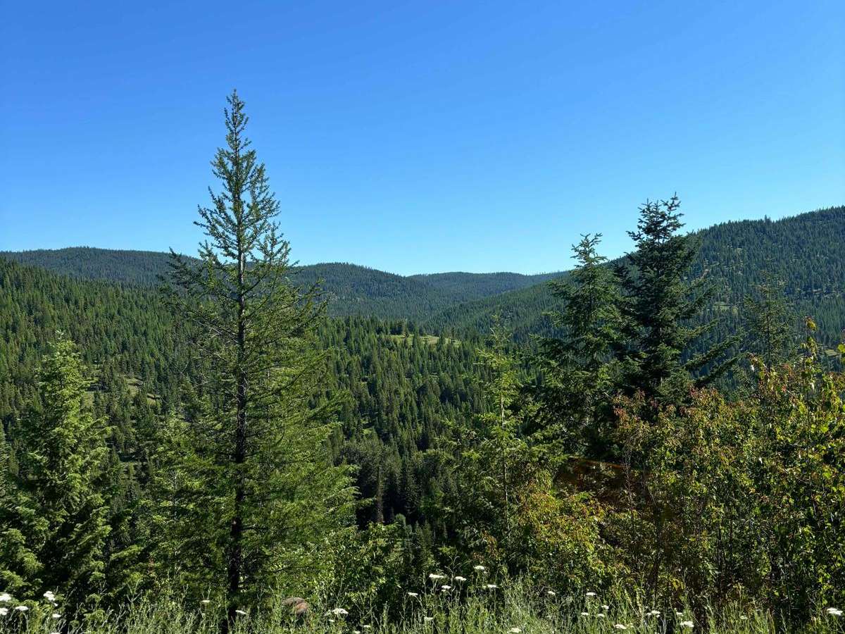 812 ATV Trail photo 3