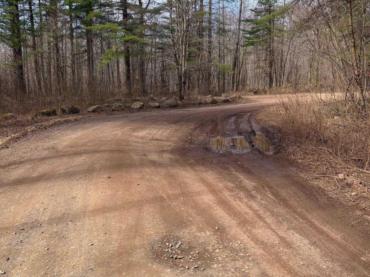 Del Reeves & North Mulford Roads photo 2