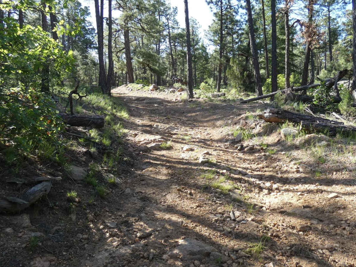 San Geronimo Back Road photo 5