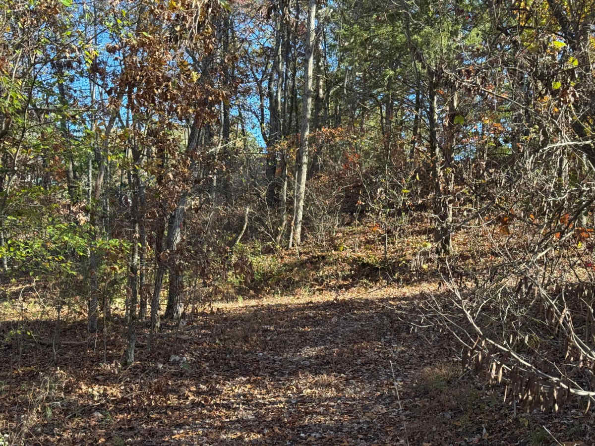 Green 139 photo 4