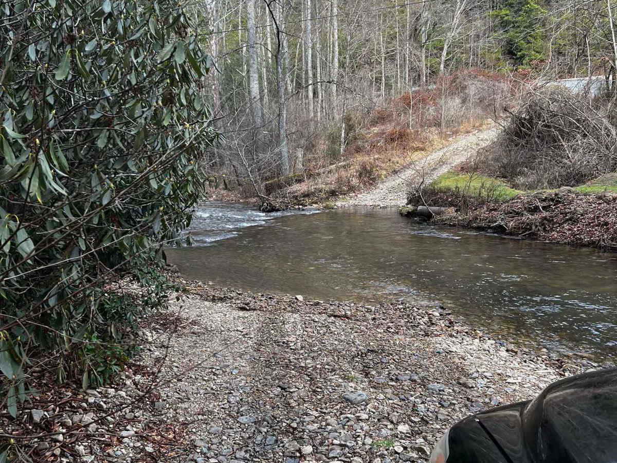 Dicks Creek to Dark Hollow (Unicoi to Erwin) trail photo