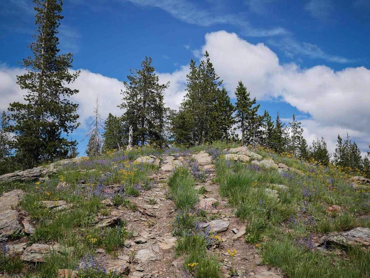 Slate Peak ATV photo 3