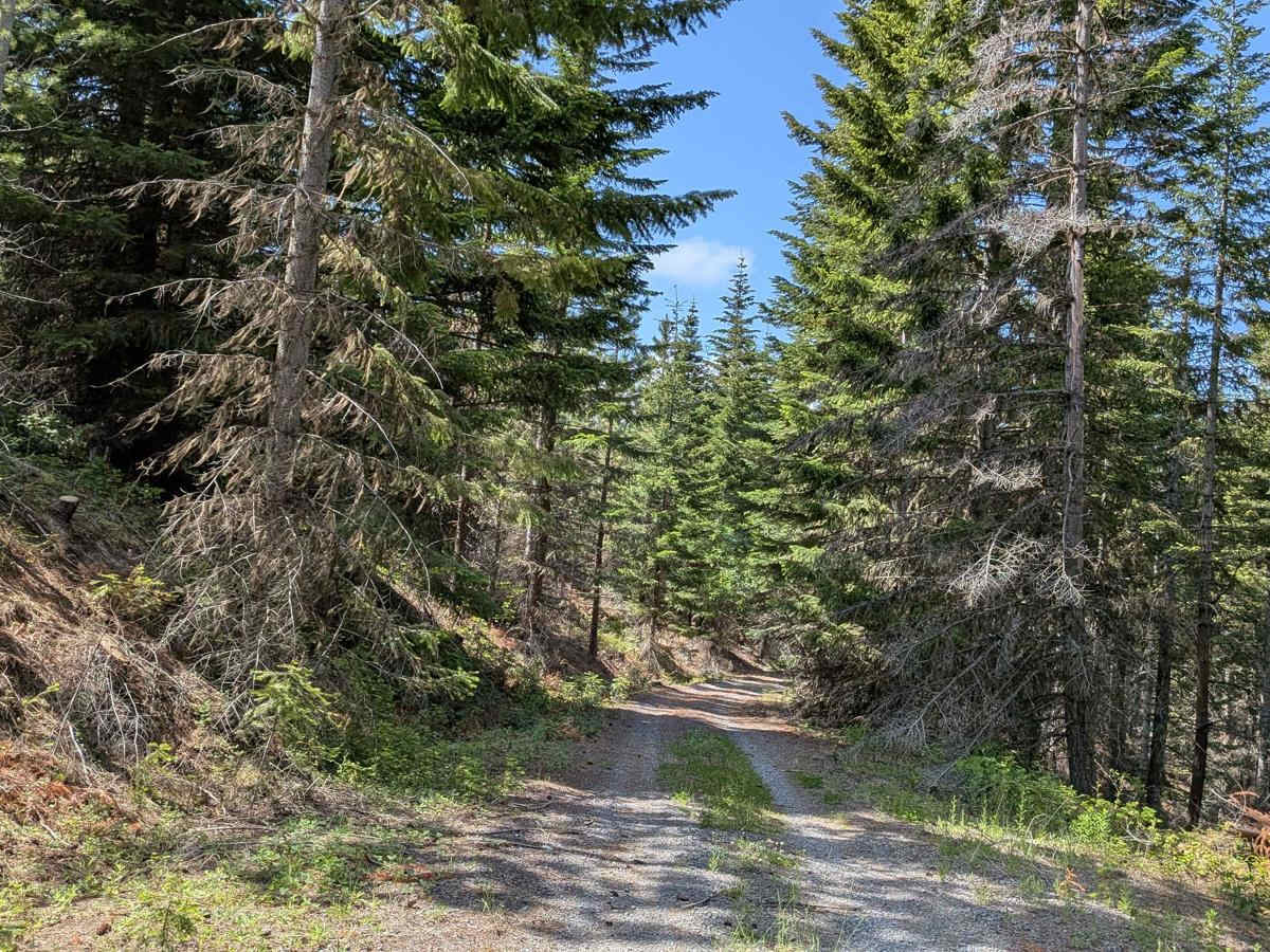 FS 4400620 trail photo