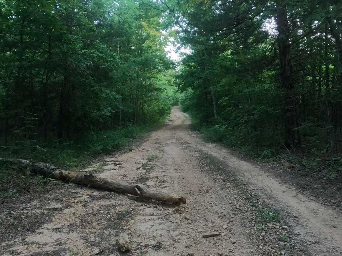 Arnett Mountain FSR 2191 photo 4