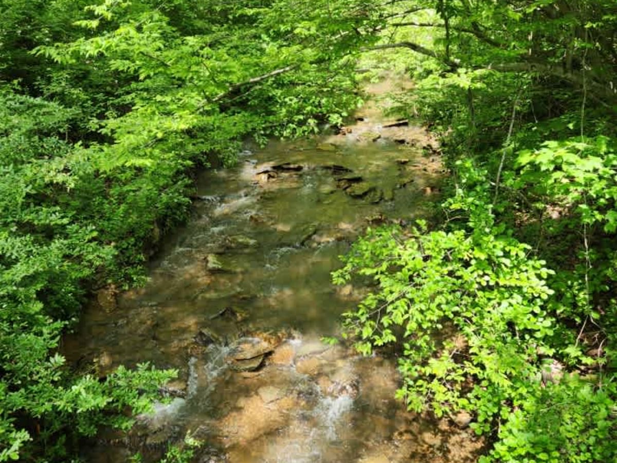 State Forest Road 14 trail photo