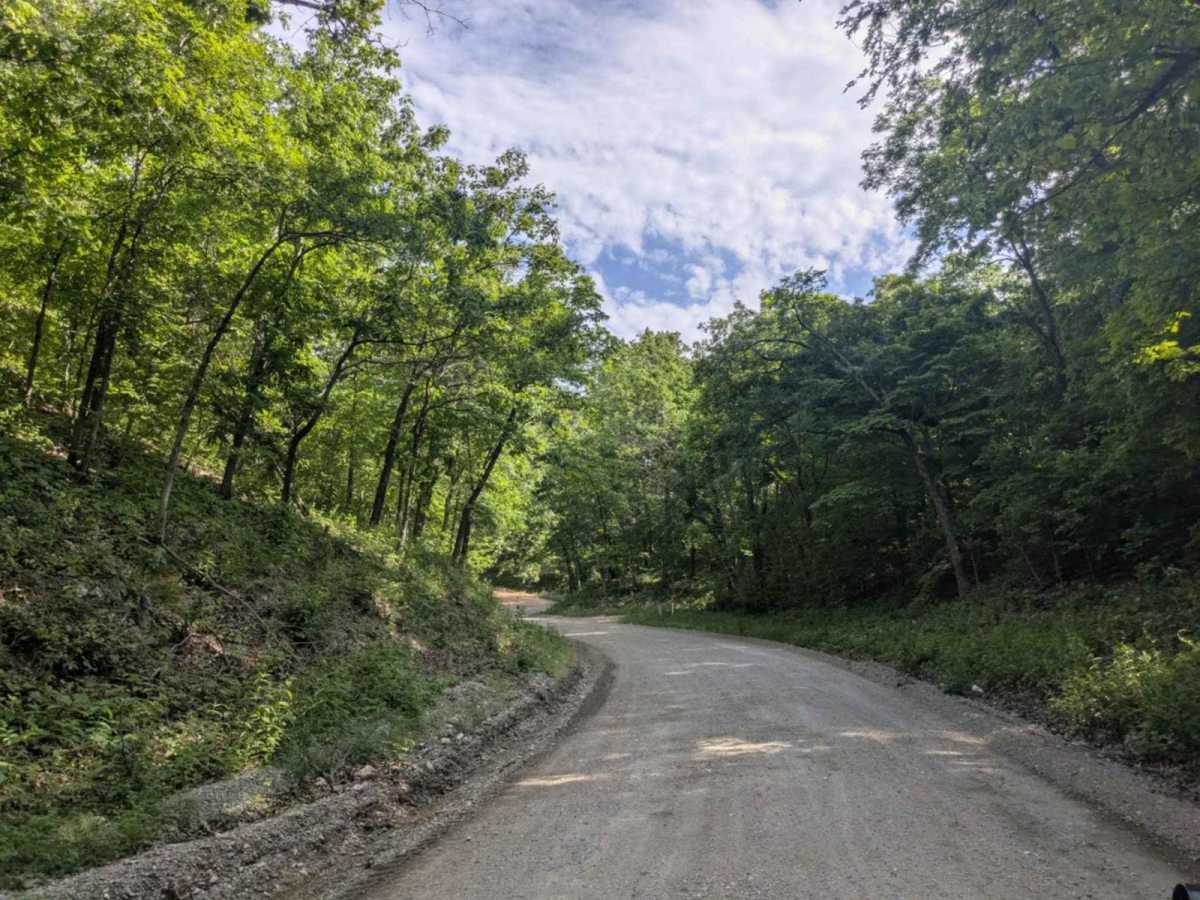 S442 trail photo