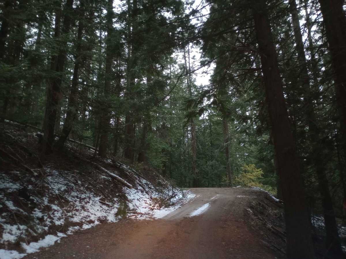 Skyline Drive photo 6