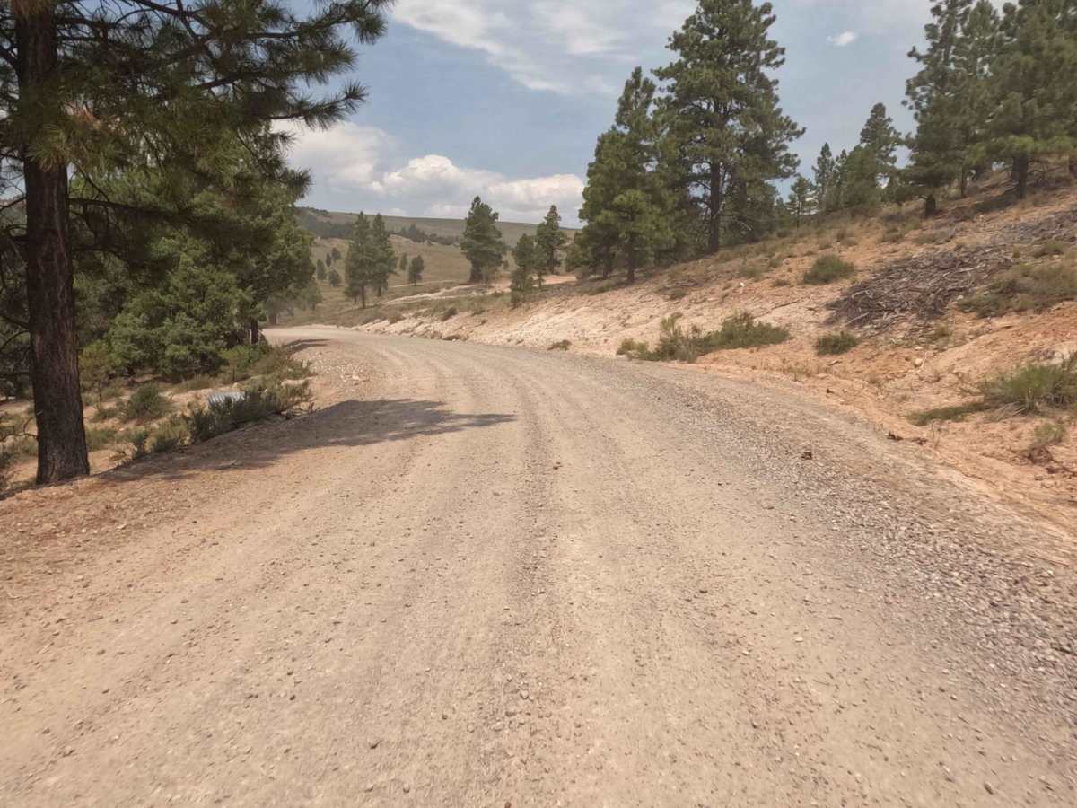 Toms Best Spring Road (BLM 33001A-30117) photo 5