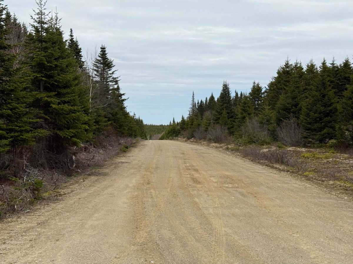 Park Spur Road photo 3