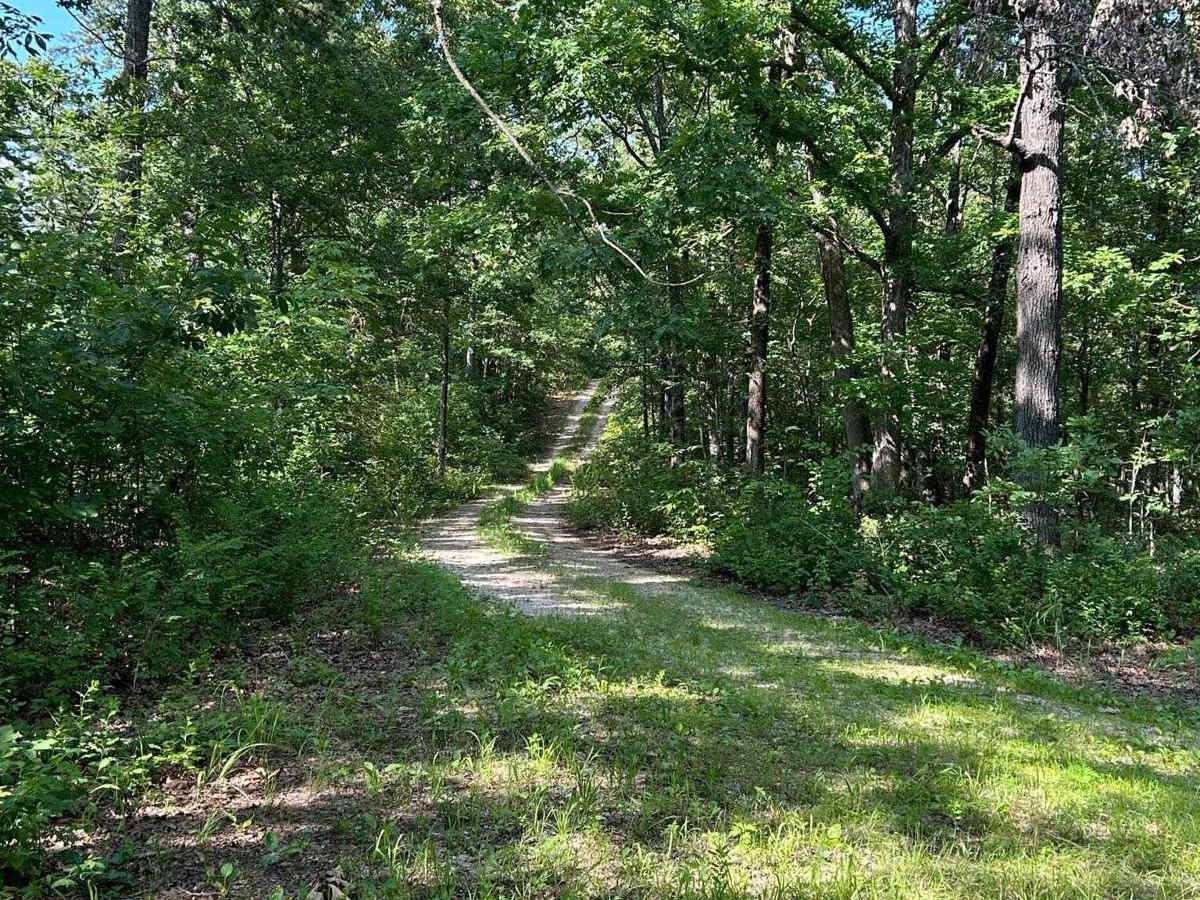 East Kelly Ridge photo 4