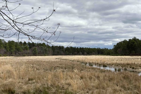 Bryant to Hays Road