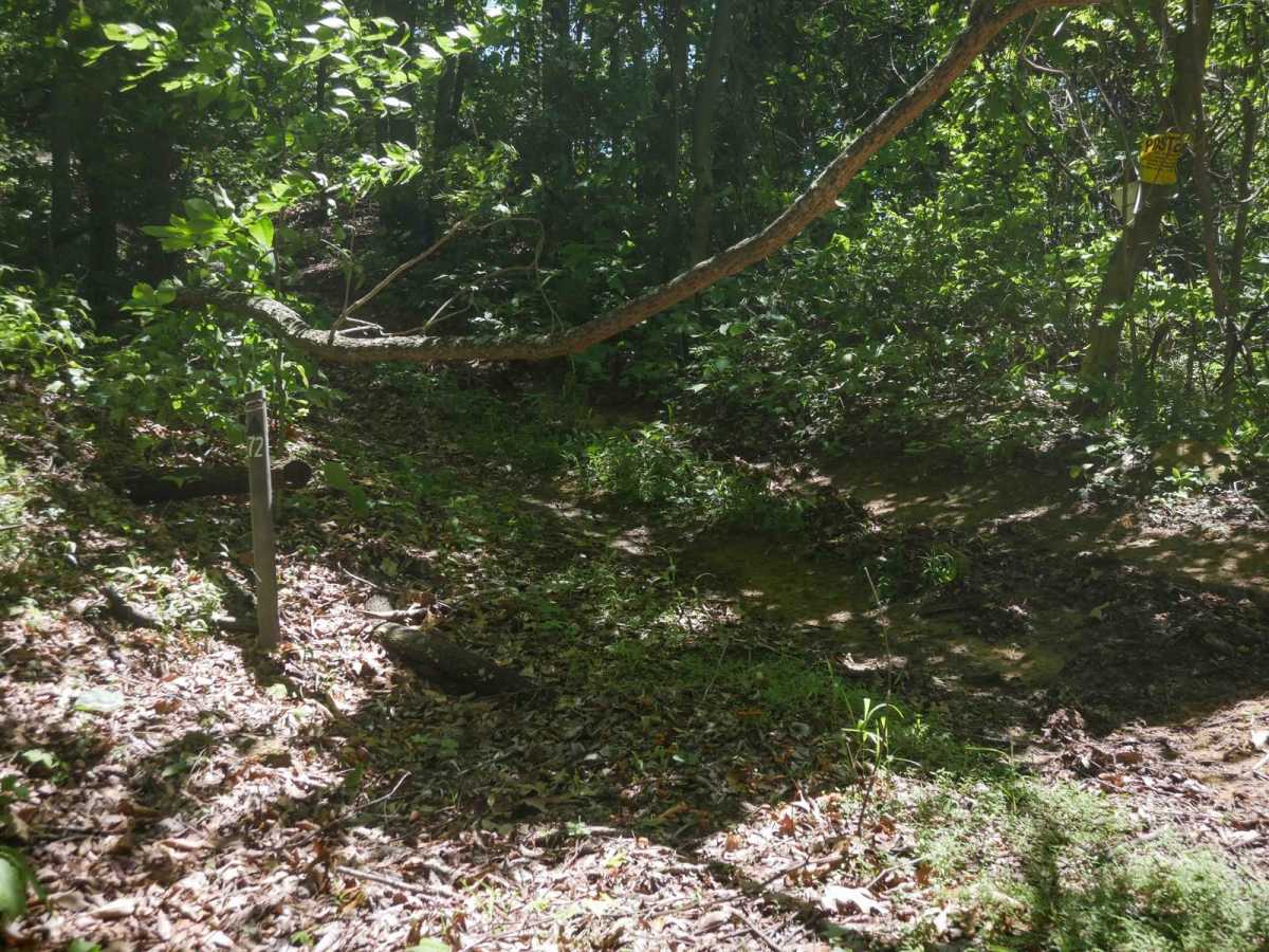 CC72 photo 6