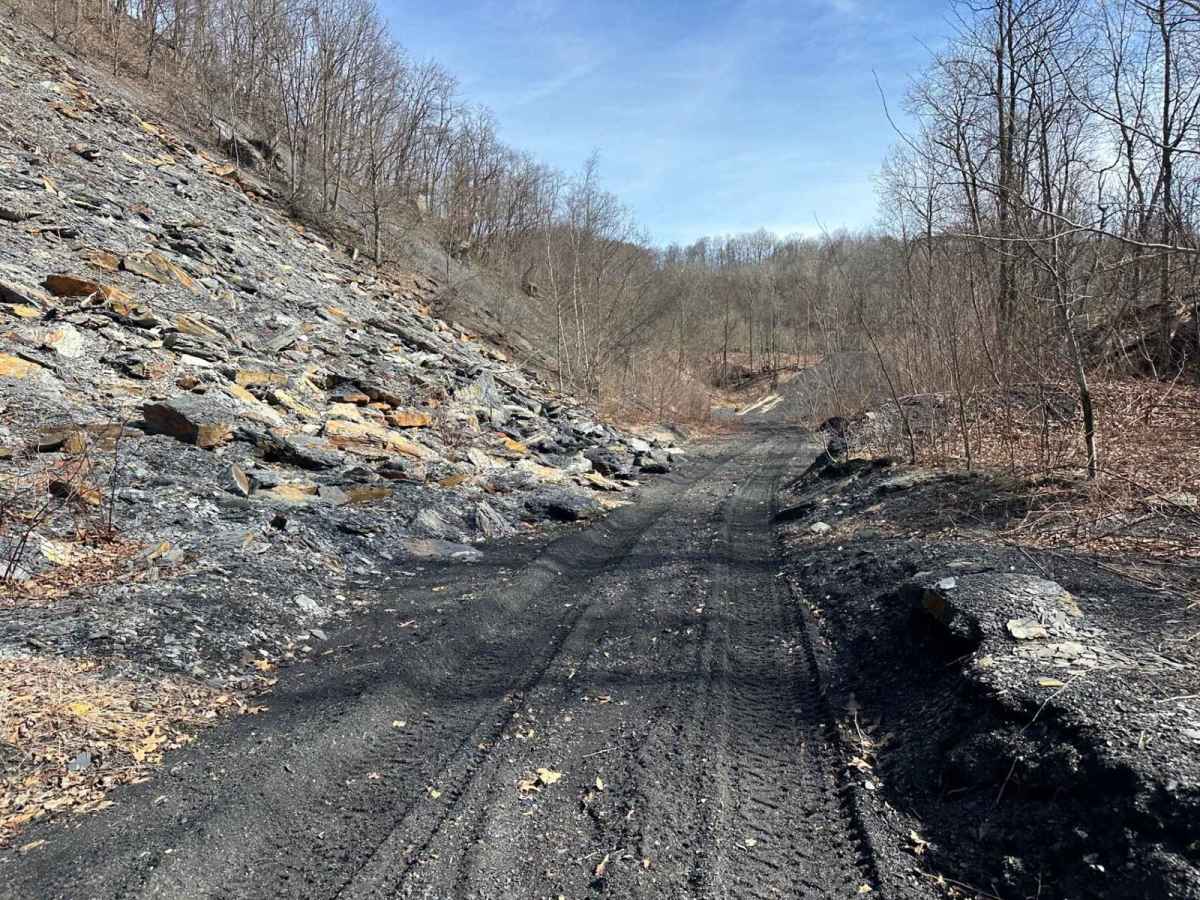 Ashland 61 trail photo