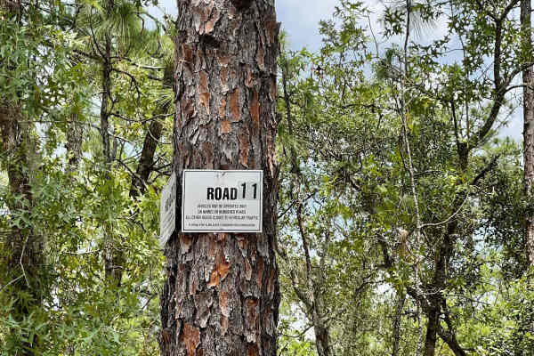 Citrus Wildlife Management | Trail 11