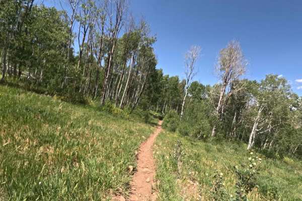 Shram Creek - FS 8124