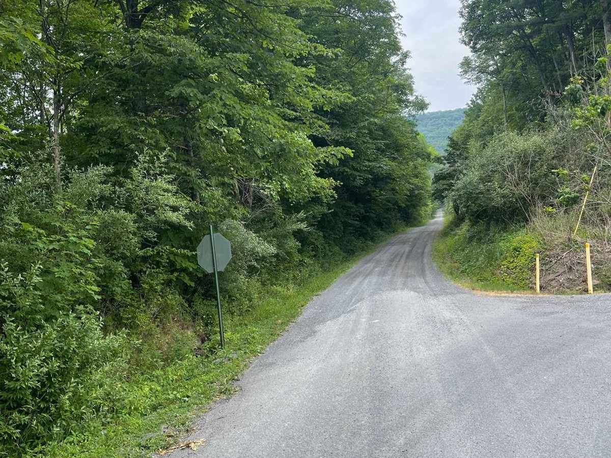 Shaw Mountain Road trail photo