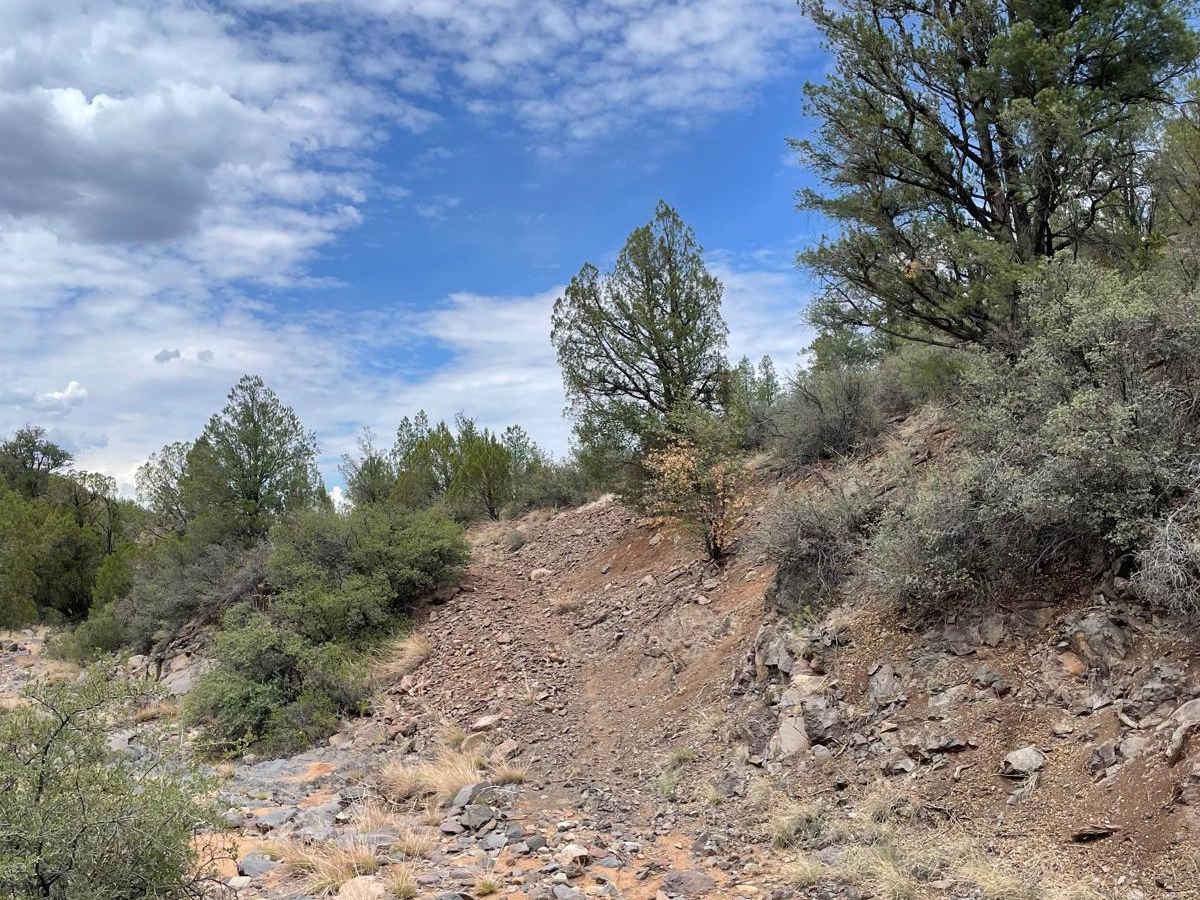 FS 511 (50- Inch Bypass) trail photo