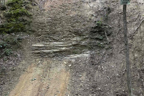 Trail 11