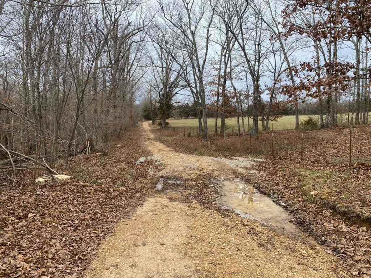 Trashcan Hill photo 4