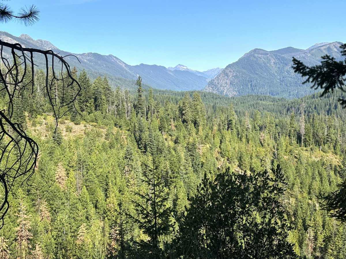 Pole Creek Loop trail photo