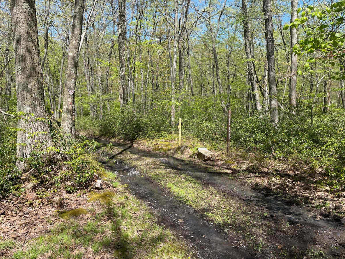 Green's Valley Trail photo 5