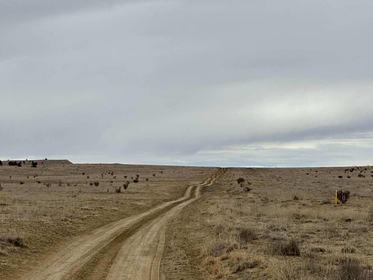 South Pipeline Road photo 2