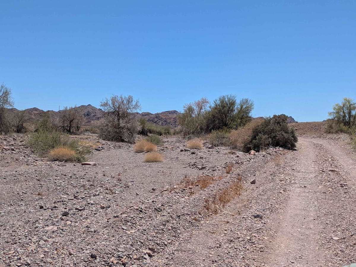 Arroyo Ridge trail photo
