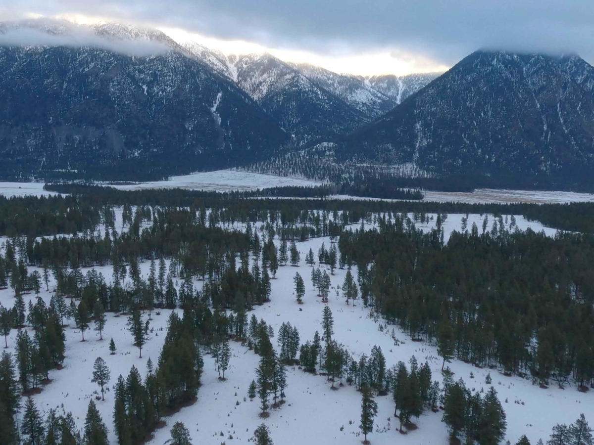 Horseshoe Lake, Loop trail photo