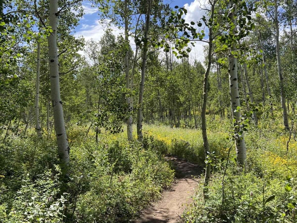 Willow Hollow (2159) photo 5