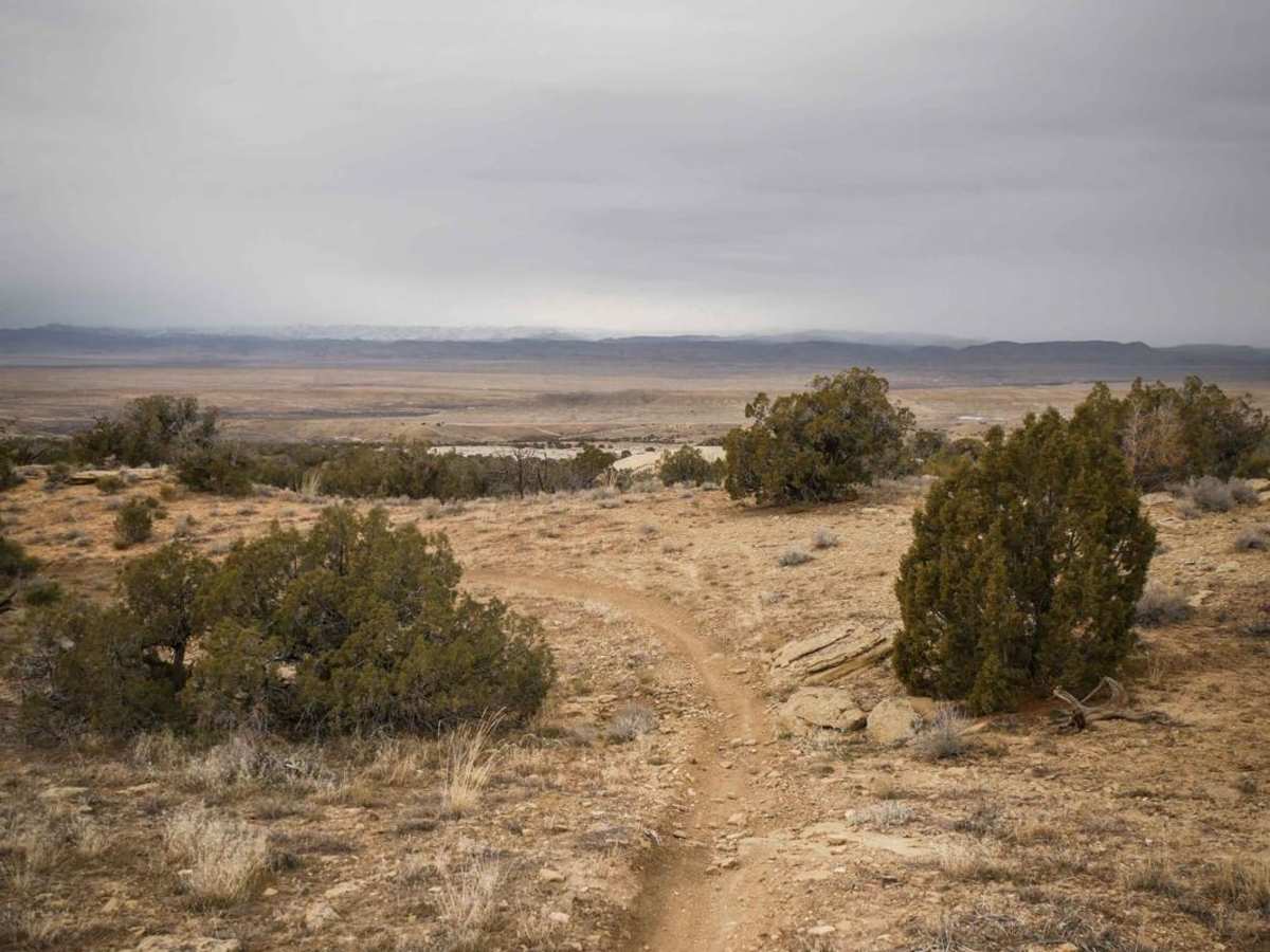 Westwater Mesa Loop Trail photo 6