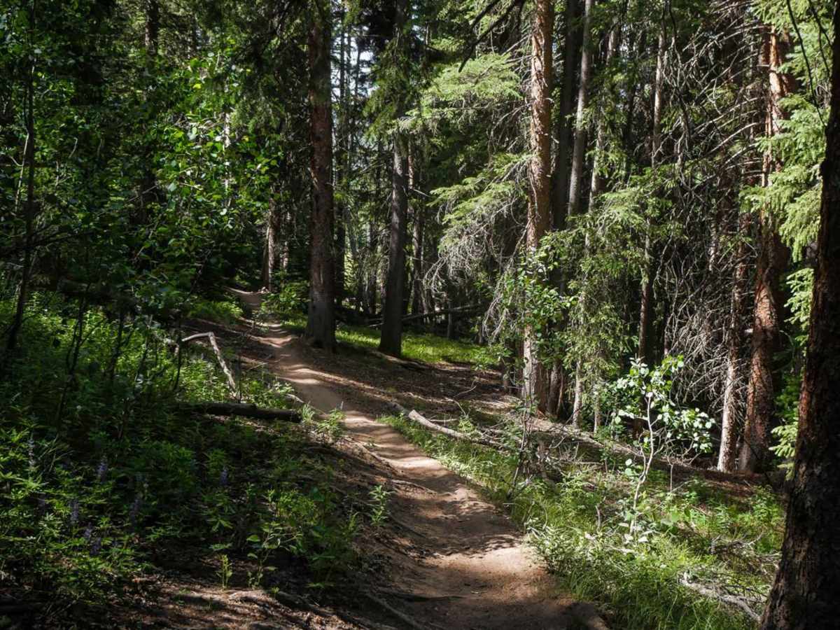 Walrod Gulch Trail photo 6