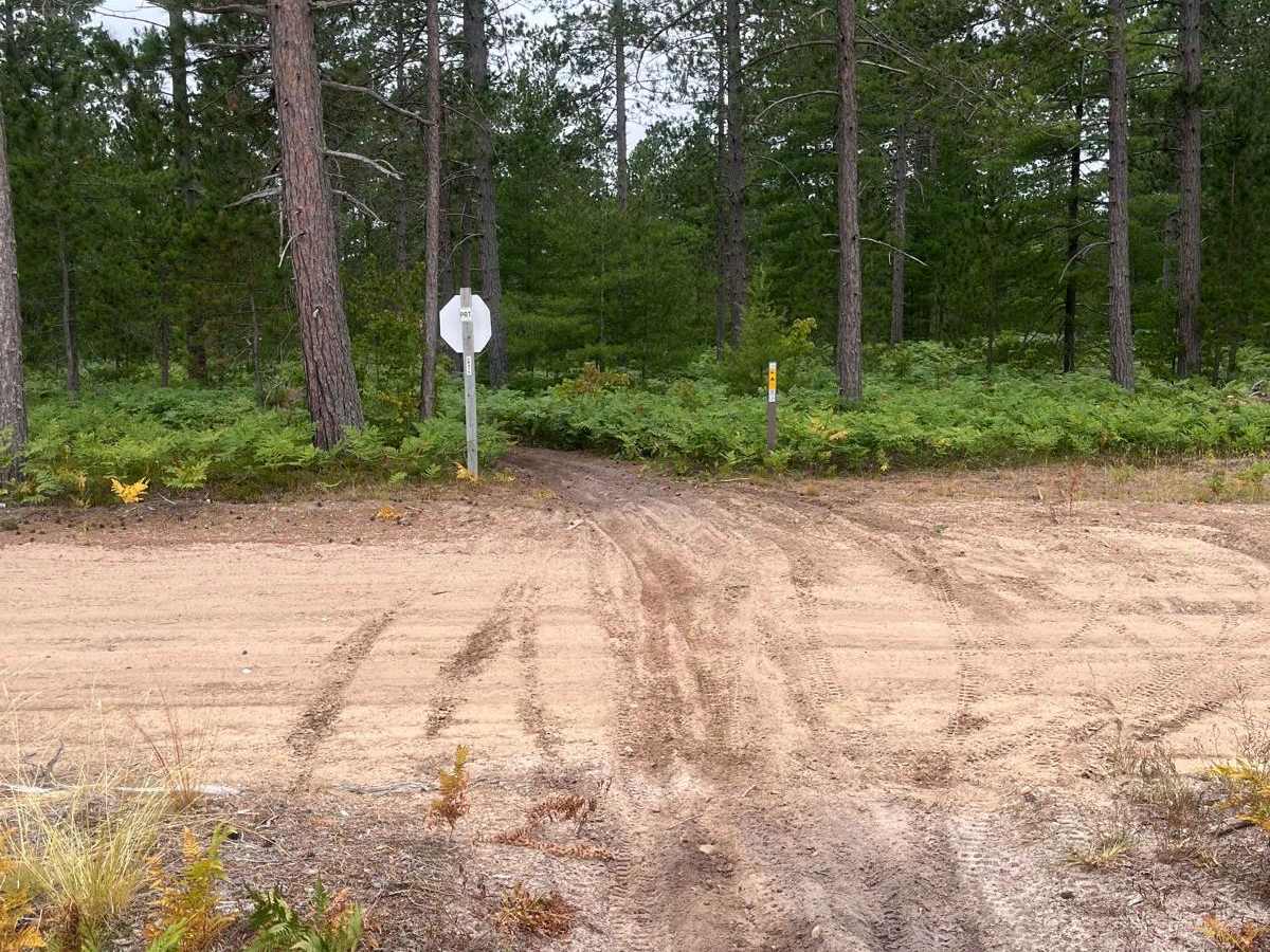 Pine Ridge Trail photo 2