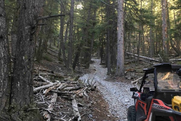 Southfork Eightmile Trail
