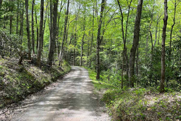 Parson Branch Road