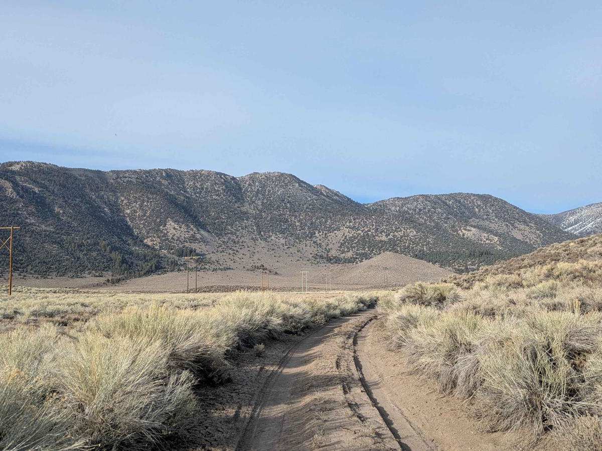 FS 2S164 trail photo